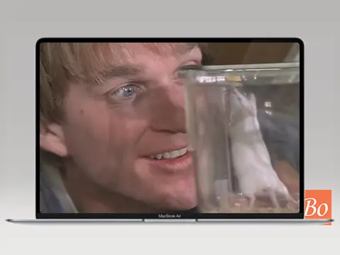 献给阿尔吉侬的花束 Flowers for Algernon 电影 (2000)