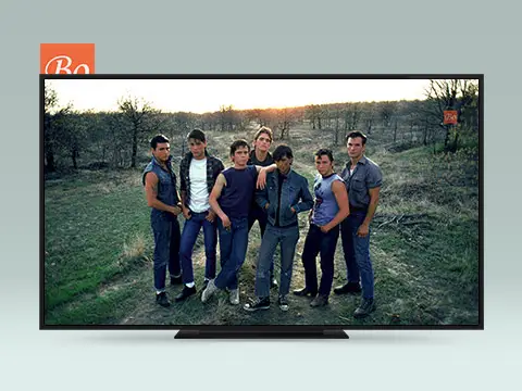 小教父 The Outsiders 电影（又译 追逐金色的少年）(1983)