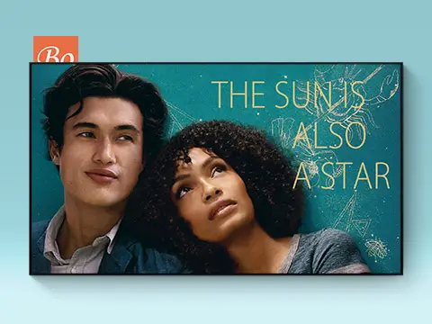 太阳也是星星 The Sun Is Also A Star 电影 (2019)