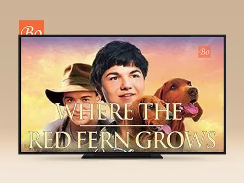 红色羊齿草的故乡 Where the Red Fern Grows 电影 (2003)
