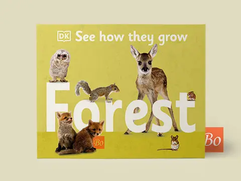 See How They Grow Forest