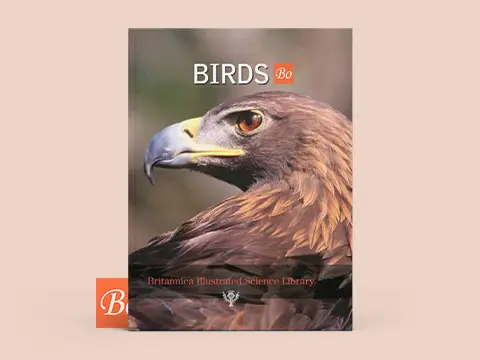 Britannica – Birds