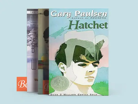 手斧男孩 brian’s saga