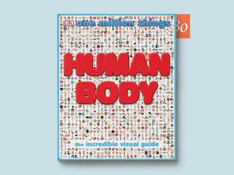 One Million Things – Human Body (2010)