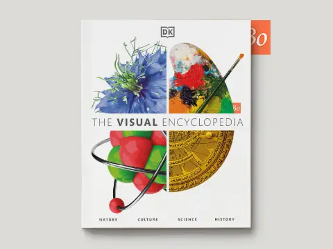 The Visual Encyclopedia 2020