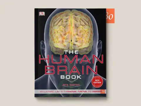 The Human Brain Book