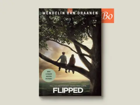 怦然心动 Flipped