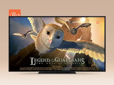 猫头鹰王国 Guardians of Ga’Hoole 电影