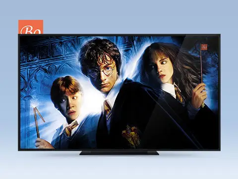 哈利·波特与密室 Harry Potter and the Chamber of Secrets 电影2