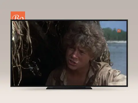 哈克贝利·费恩历险记 (1974) Adventures of Huckleberry Finn 电影