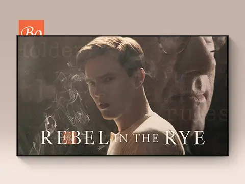 麦田里的叛逆者 Rebel in the Rye 电影 (2017)