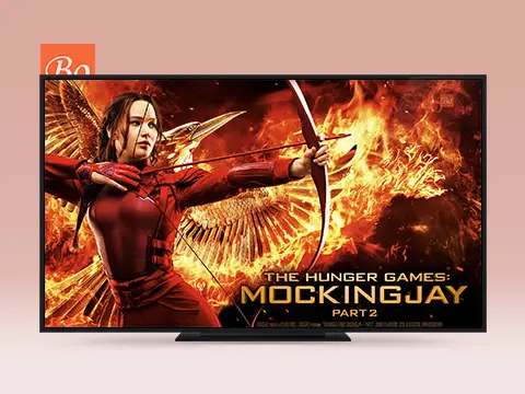 饥饿游戏3(下)  The Hunger Games: Mockingjay – Part 2 电影 (2015)