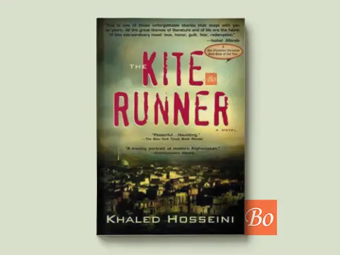 追风筝的人 The kite runner