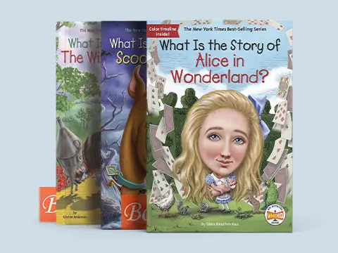 What Is the Story of 系列