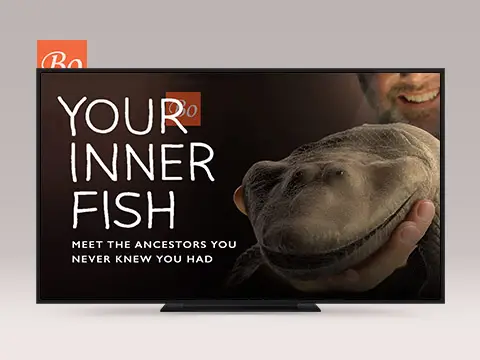 你是怎么来的 Your Inner Fish PBS纪录片 (2014)