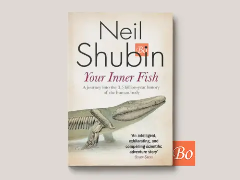 你是怎么来的 Your Inner Fish