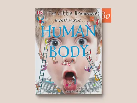 The Little Brainwaves Investigate – Human Body