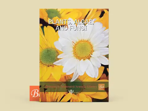 Britannica – Plants_Algae and Fungi