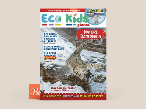 《Eco Kids Planet》自然科普杂志 2026年2月刊 – Issue 136 雪豹专题