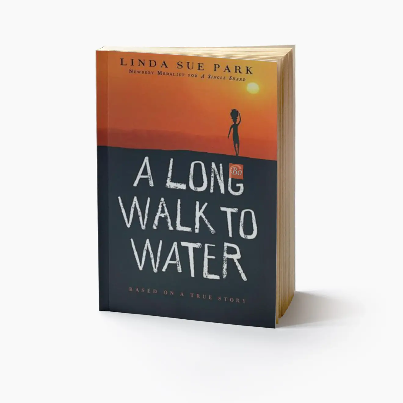漫漫求水路 A Long Walk to Water