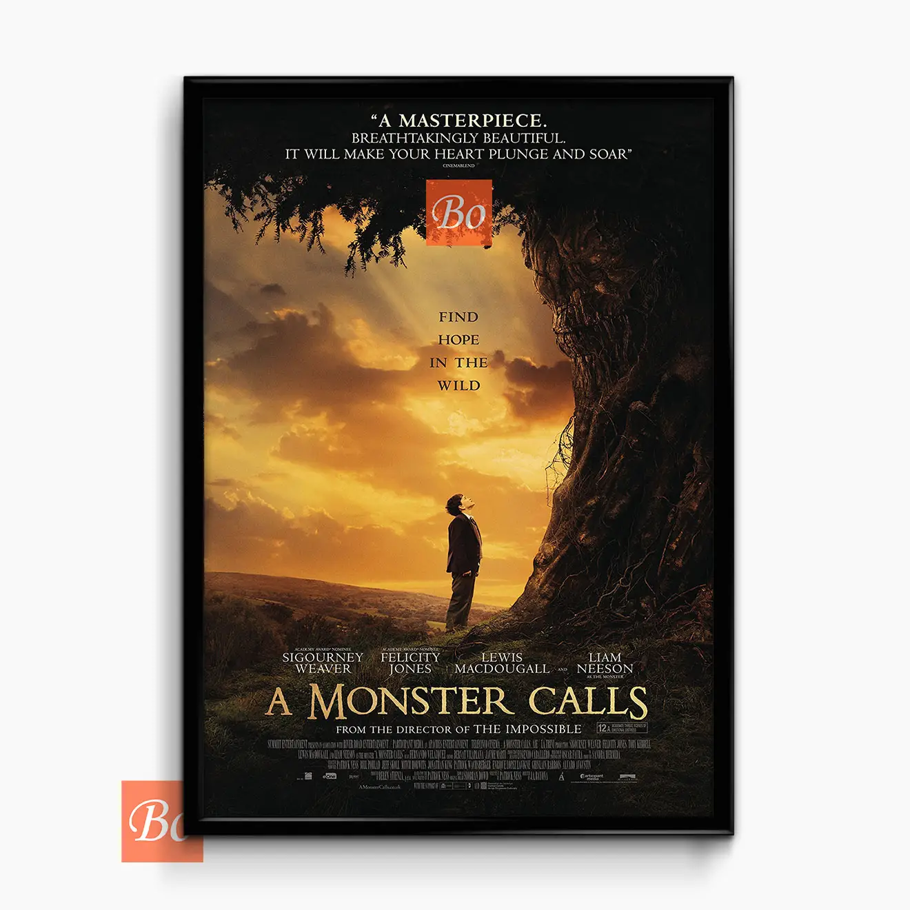 当怪物来敲门 A Monster Calls 电影 (2016)