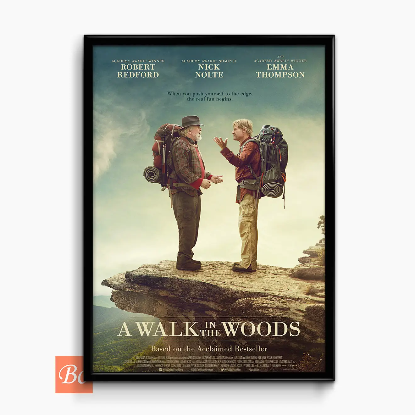 林中漫步 A Walk in the Woods 电影 (2015)