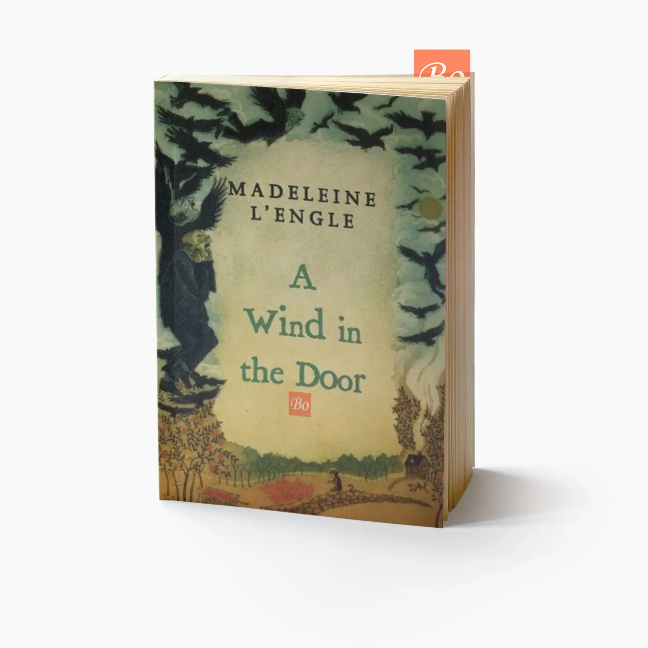 时间的皱折 A Wrinkle in Time