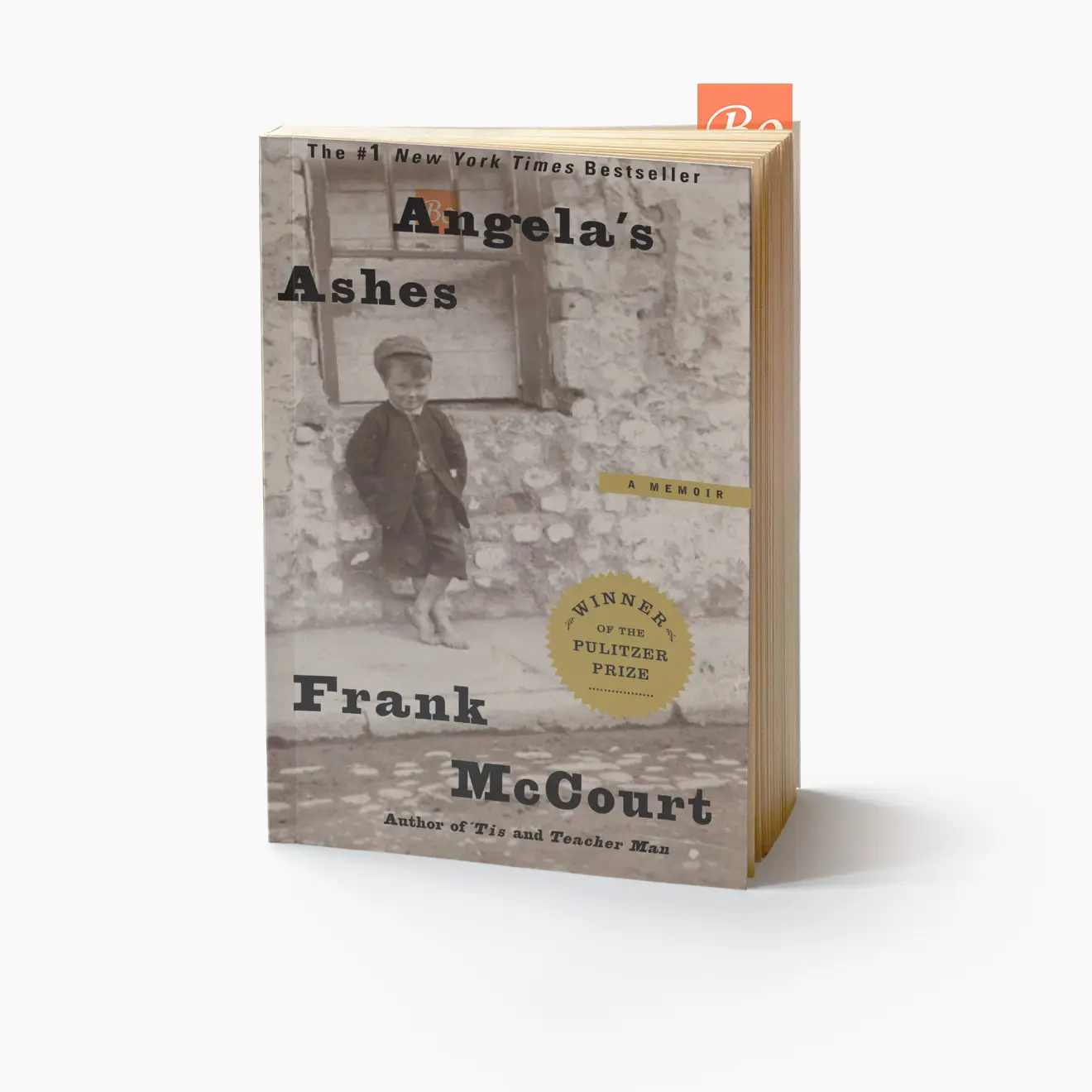 安琪拉的灰烬 Angela’s ashes