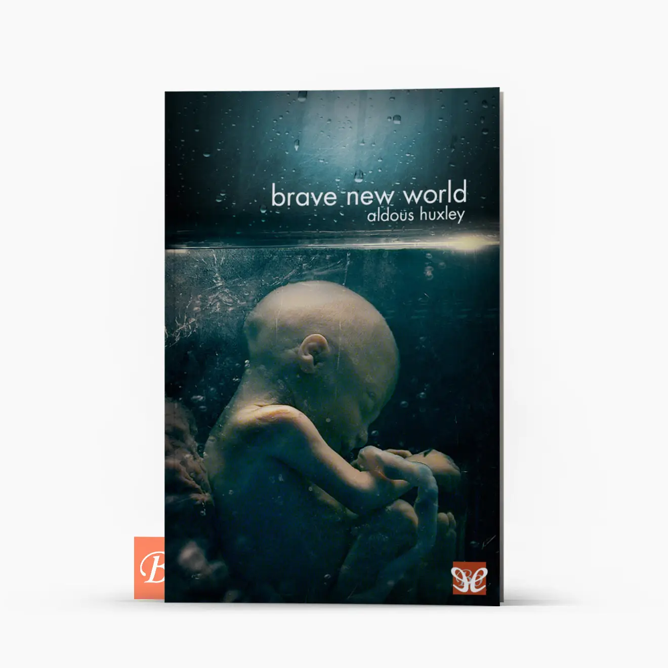 美丽新世界 Brave New World