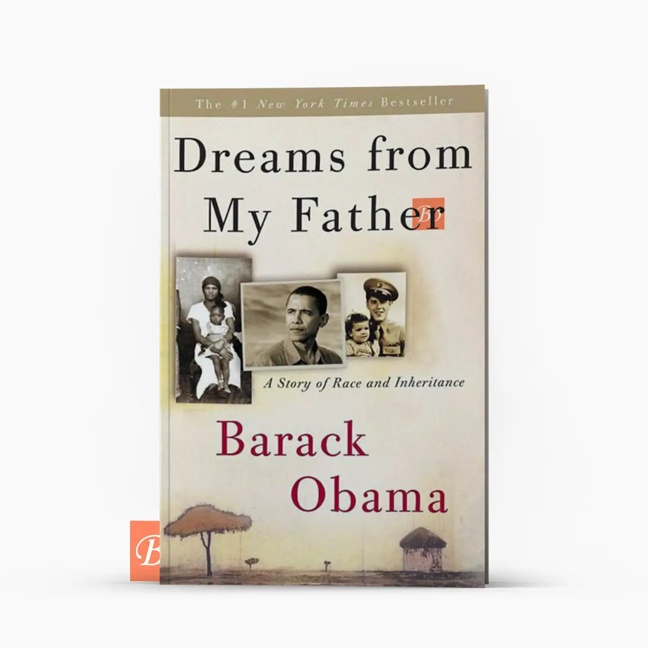 我父亲的梦想 Dreams from my father