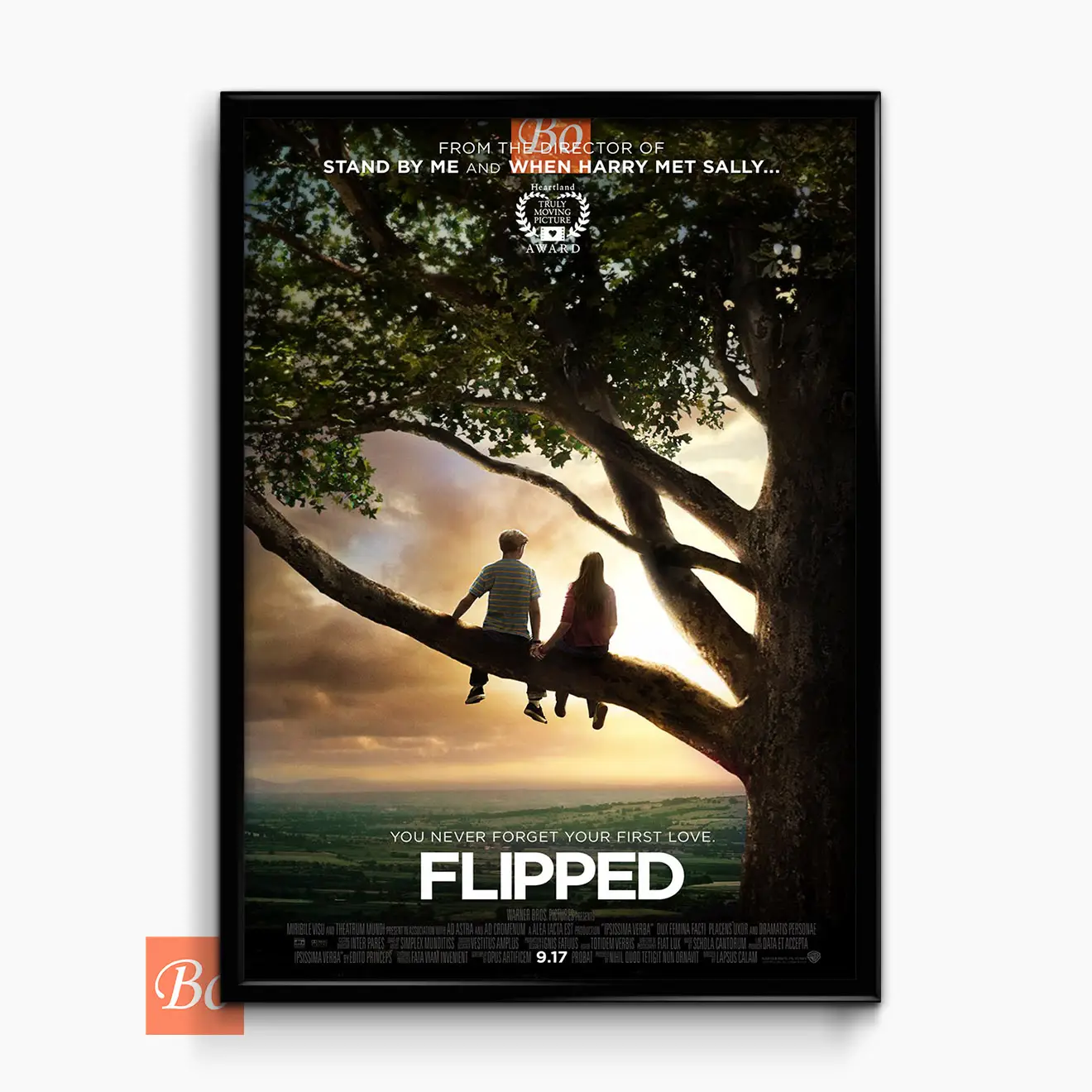 怦然心动 Flipped 电影 (2010)