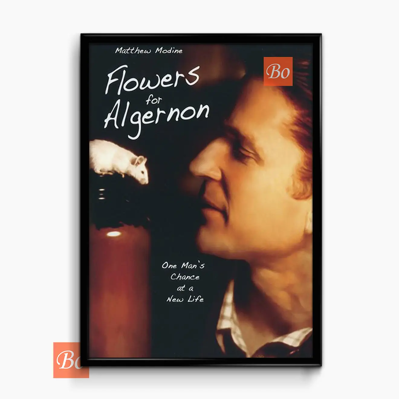 献给阿尔吉侬的花束 Flowers for Algernon 电影 (2000)