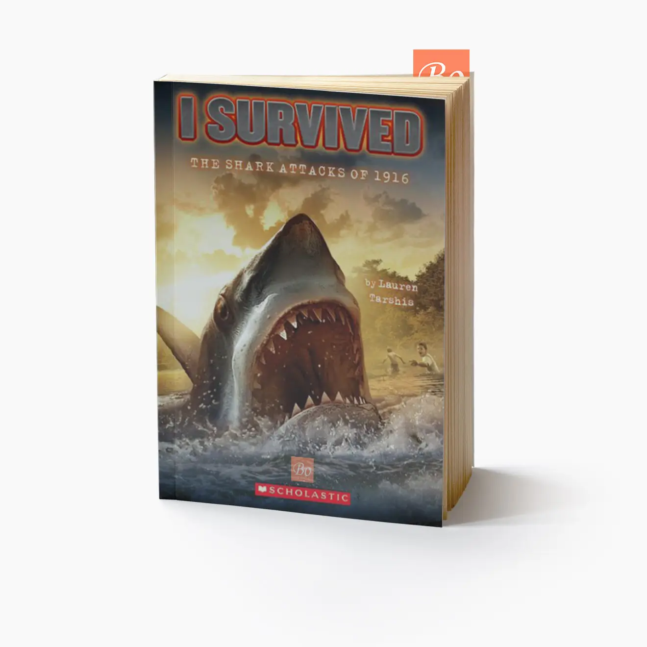 幸存者系列 I Survived