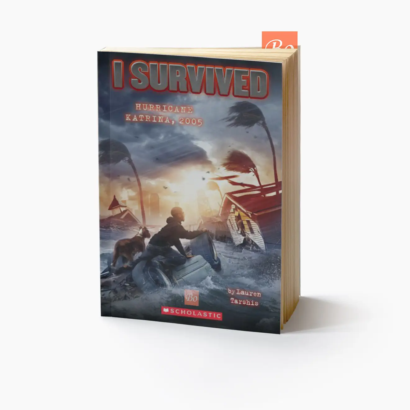 幸存者系列 I Survived