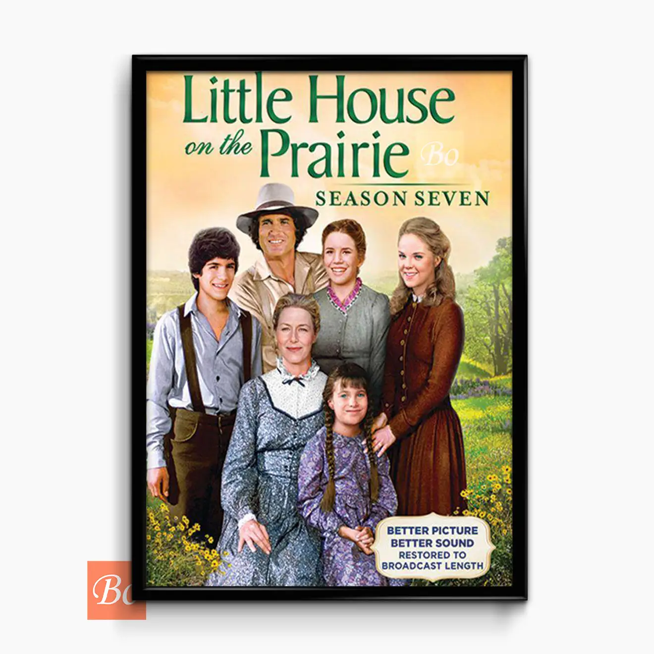 草原上的小木屋电视剧 Little House on the Prairie