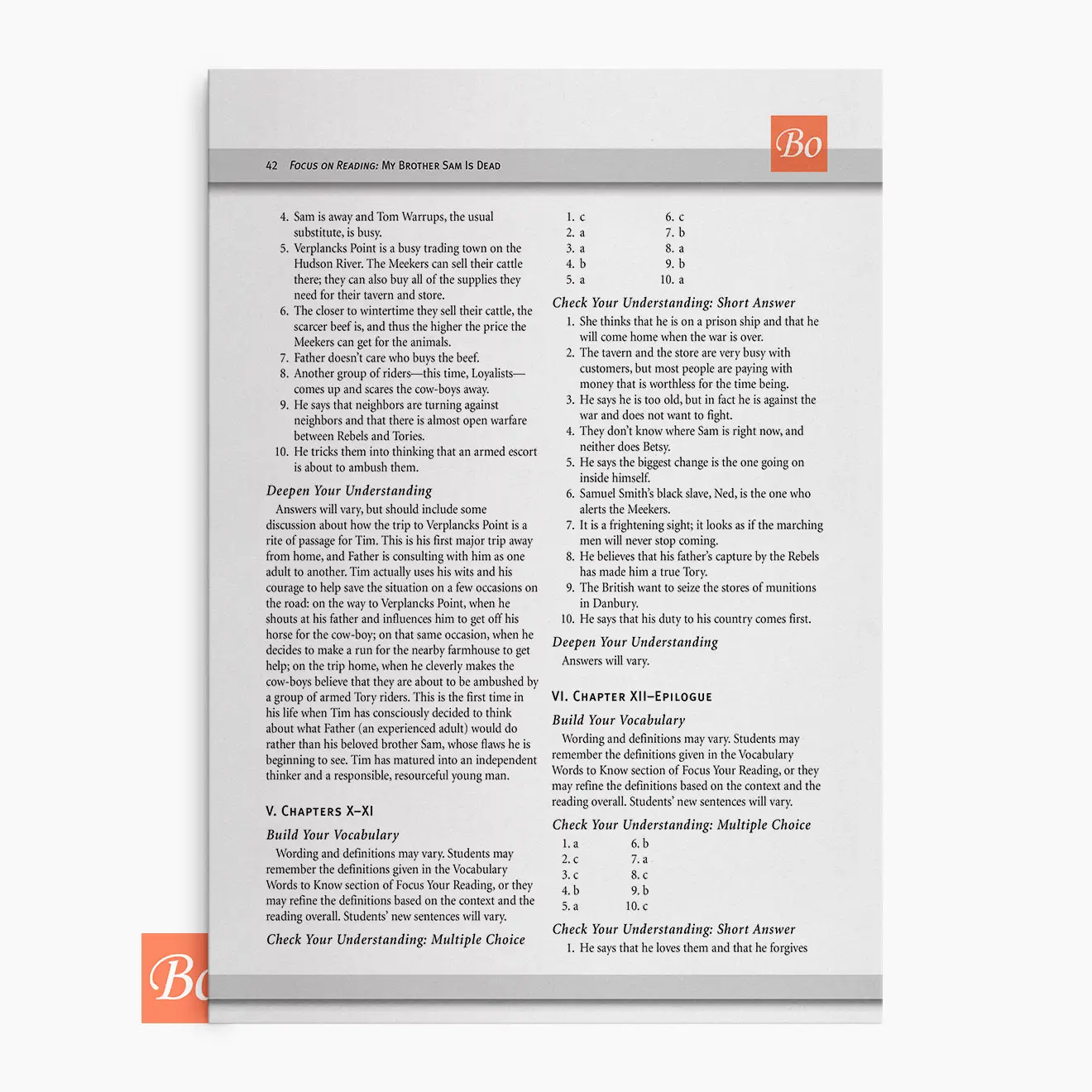 亲爱的哥哥山姆阅读指南 My Brother Sam Is Dead – focus on reading