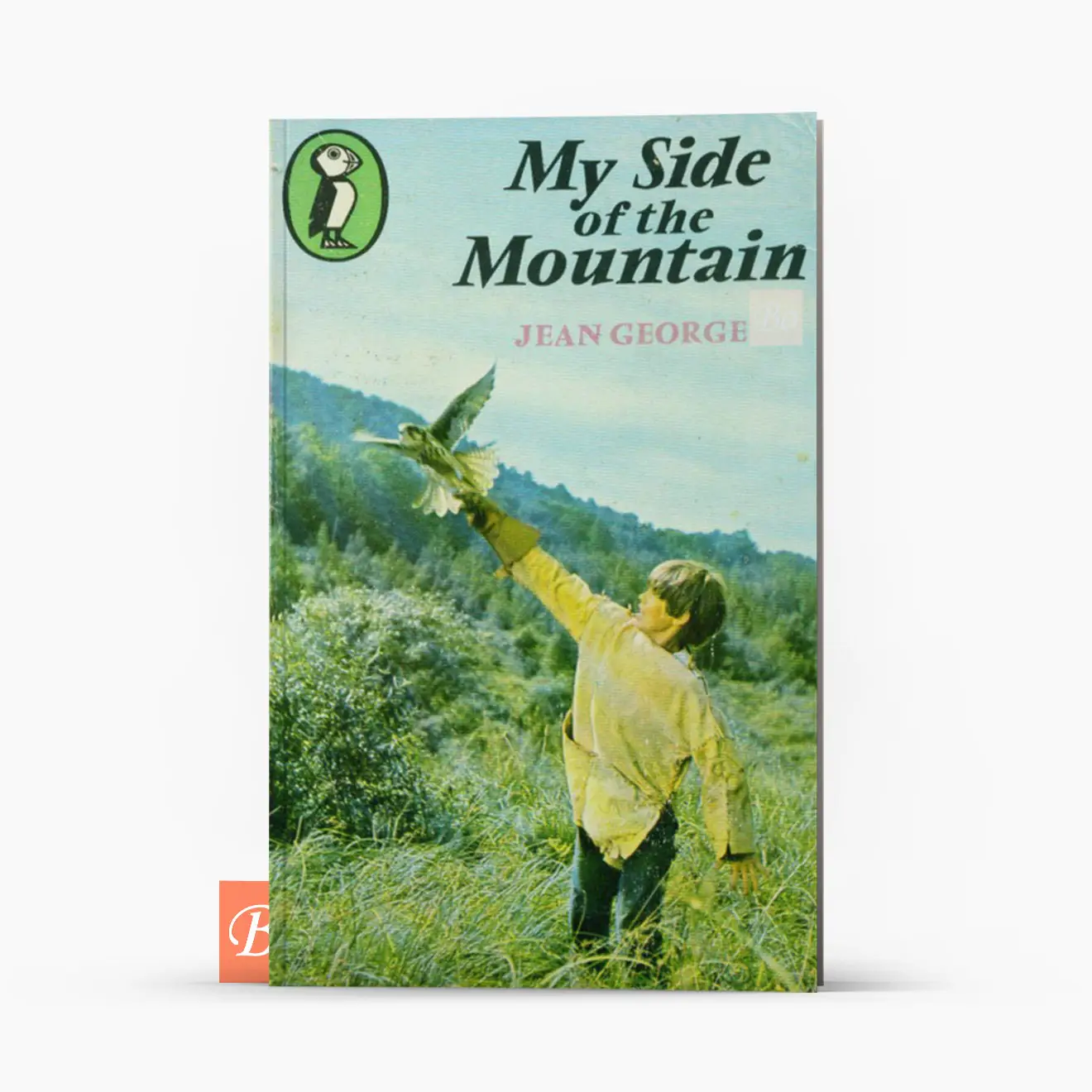 山居岁月 My Side of the Mountain