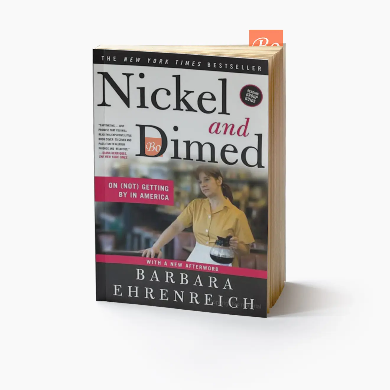 我在底层的生活 Nickel and dimed