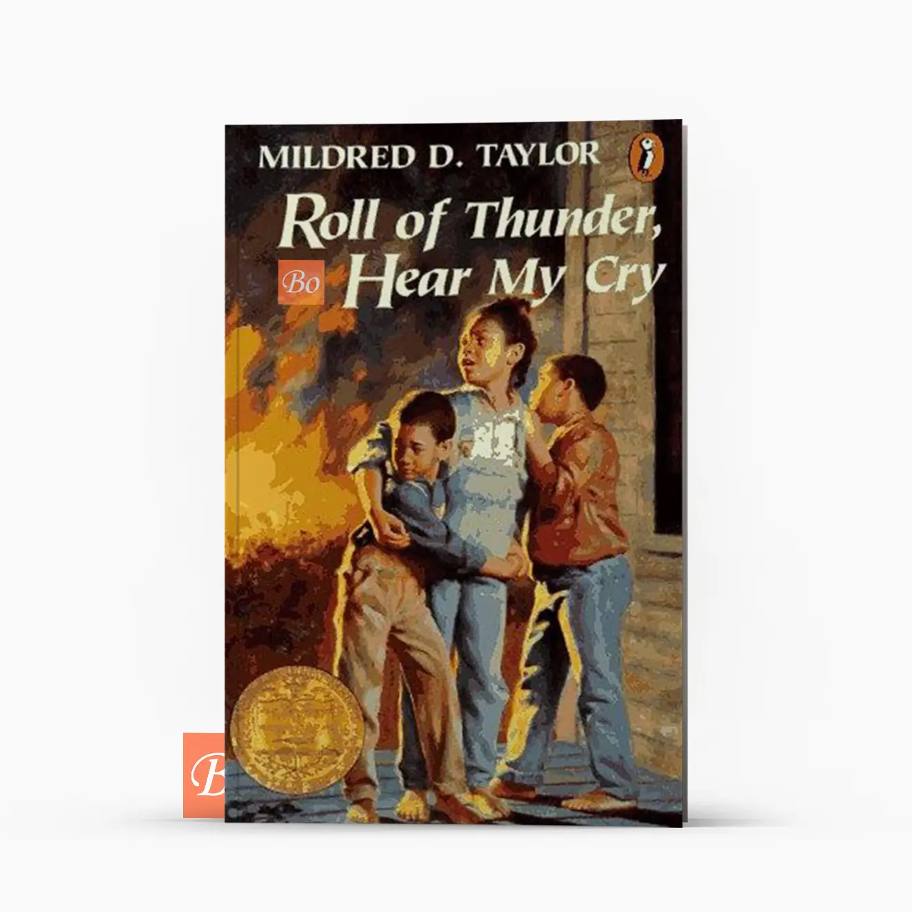 黑色棉花田 Roll of Thunder, Hear My Cry