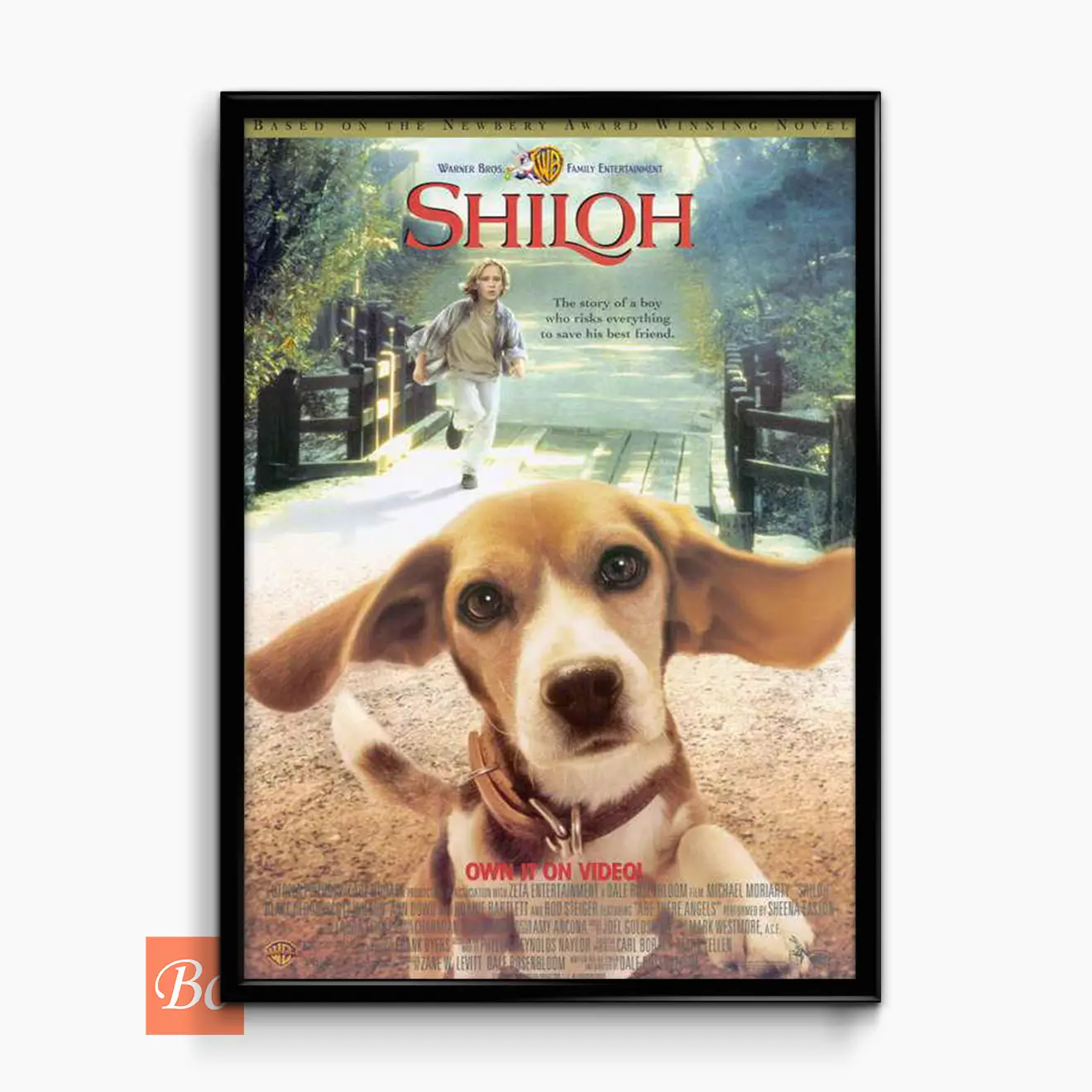 夏伊洛 Shiloh 电影 (1996)