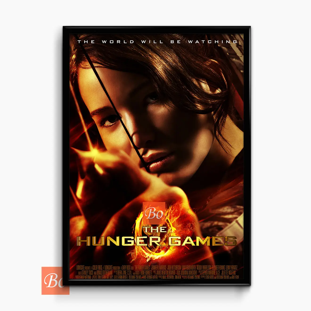 饥饿游戏 The Hunger Games 电影 (2012)