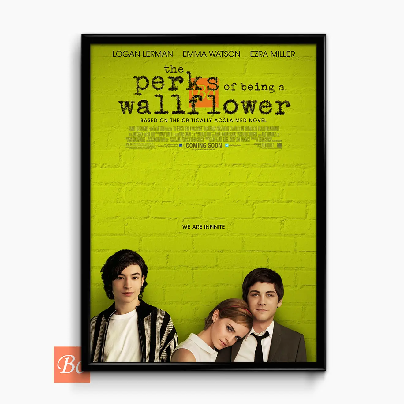 壁花少年 The Perks of Being a Wallflower 电影