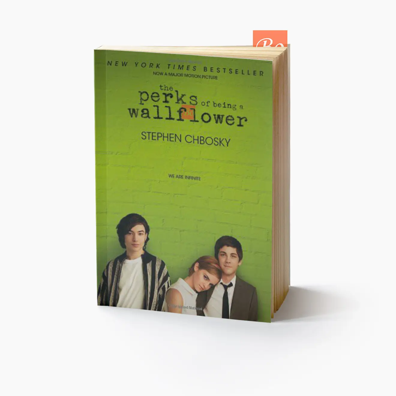 壁花少年 The Perks of Being a Wallflower