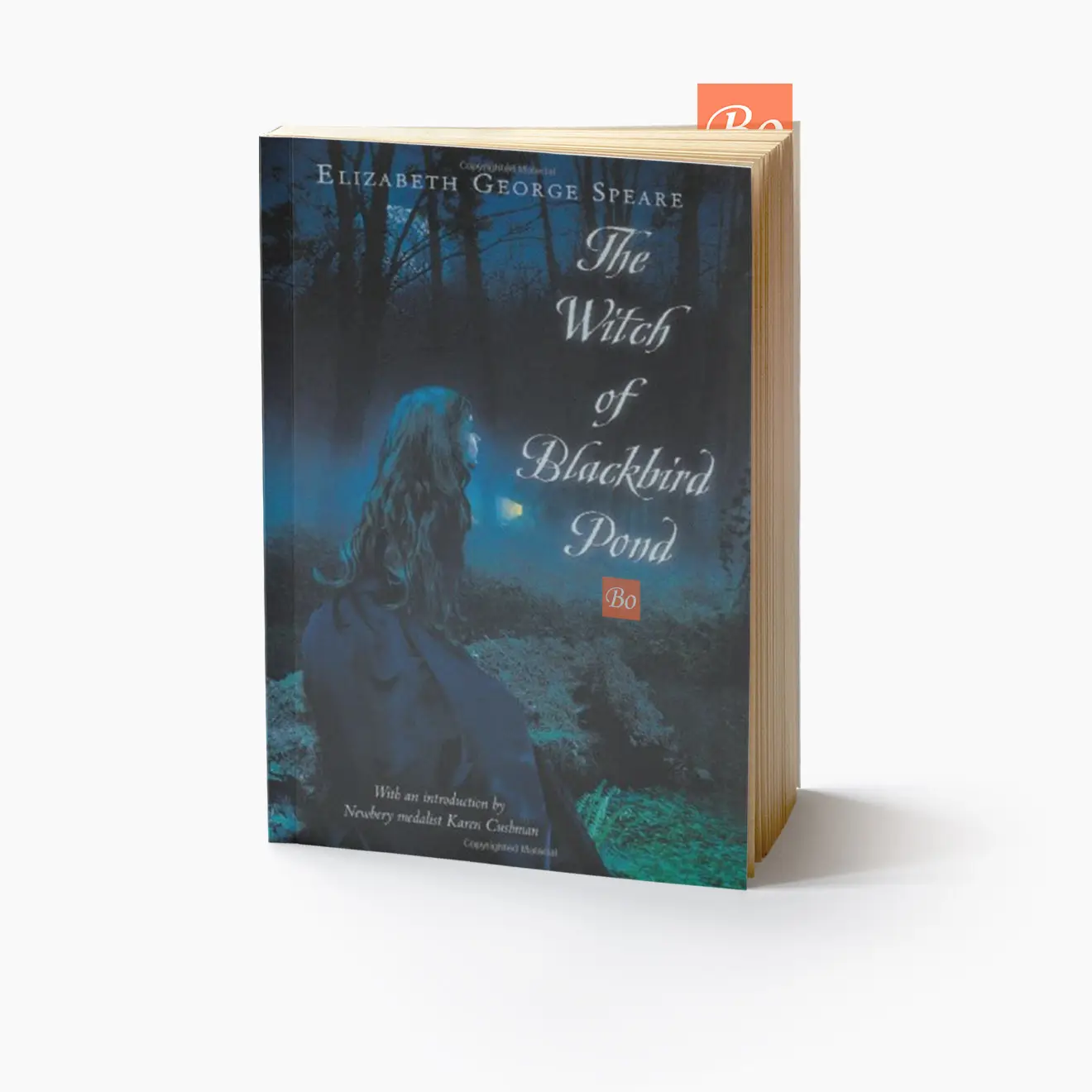 黑鸟水塘的女巫 The Witch of Blackbird Pond