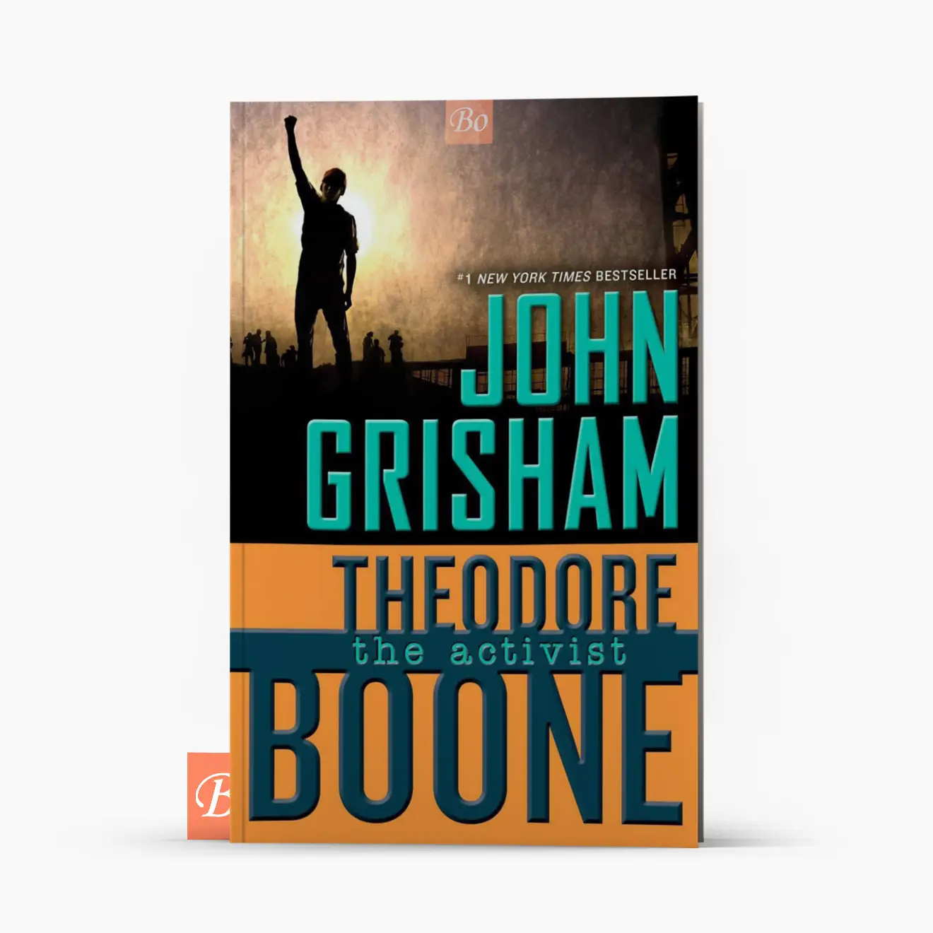 西奥律师事务所 Theodore Boone 系列7本