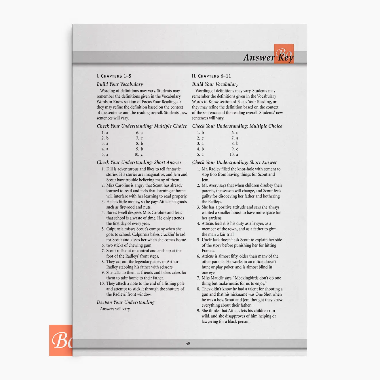 杀死一只知更鸟阅读指南 To Kill a Mockingbird – focus on reading