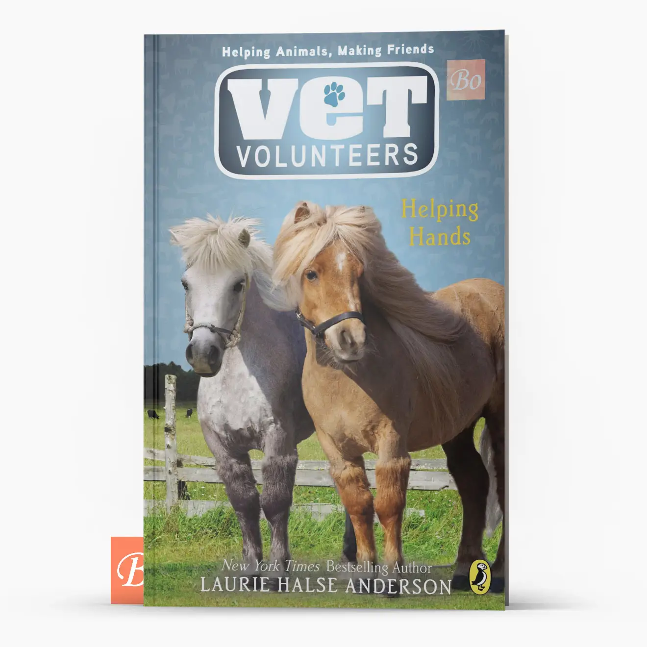 兽医志愿者 Vet Volunteers 系列