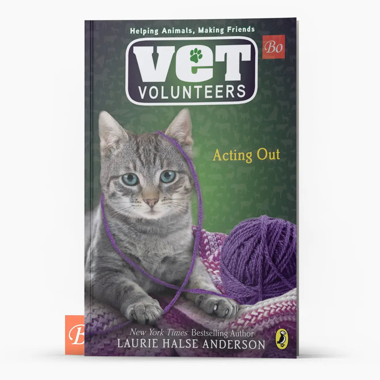 兽医志愿者 Vet Volunteers 系列