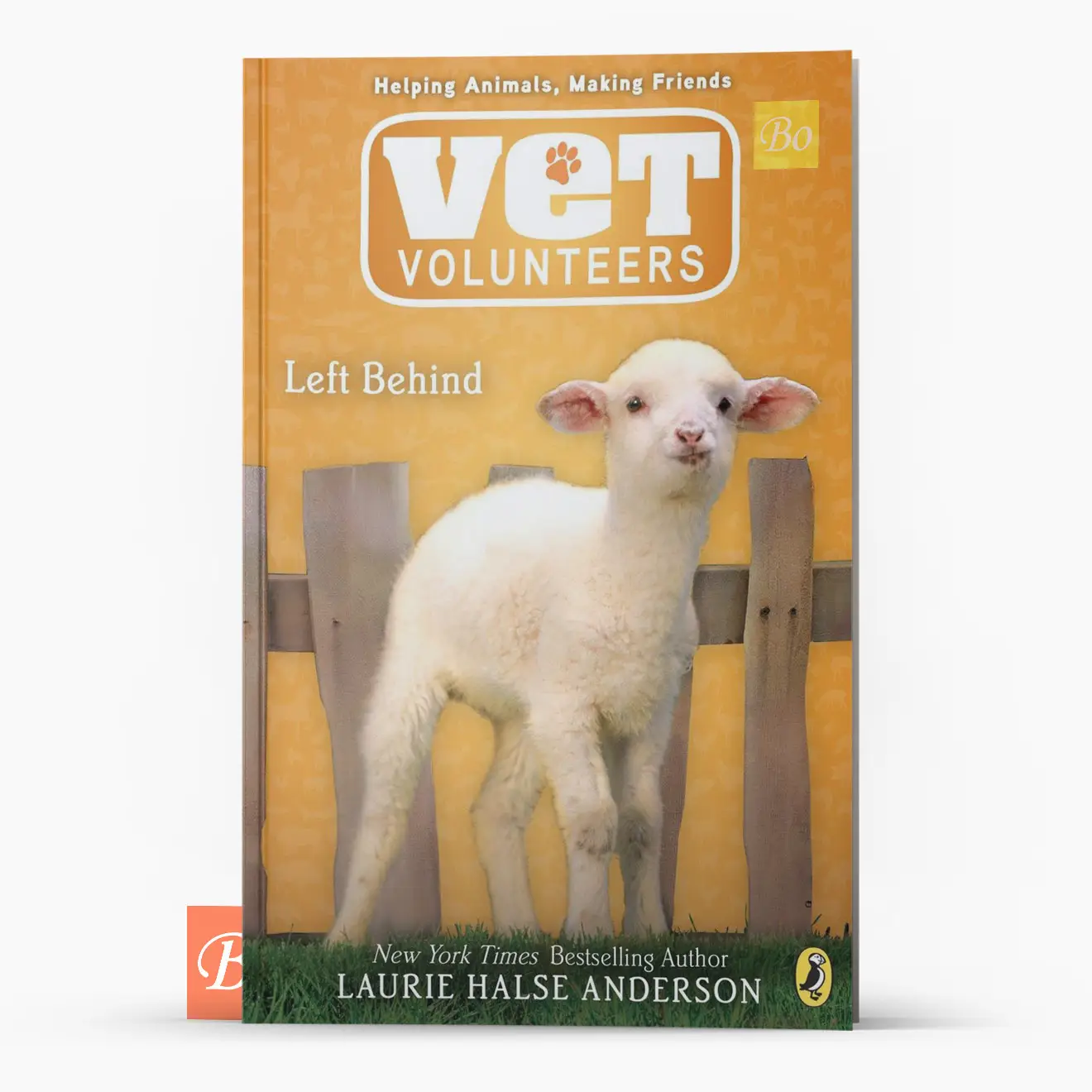 兽医志愿者 Vet Volunteers 系列