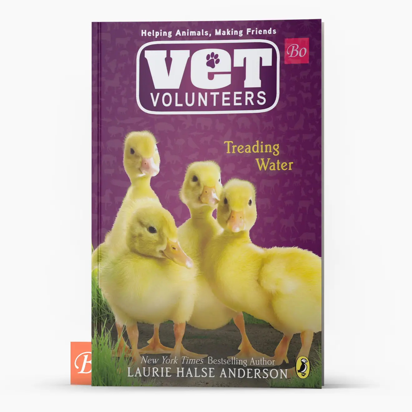 兽医志愿者 Vet Volunteers 系列